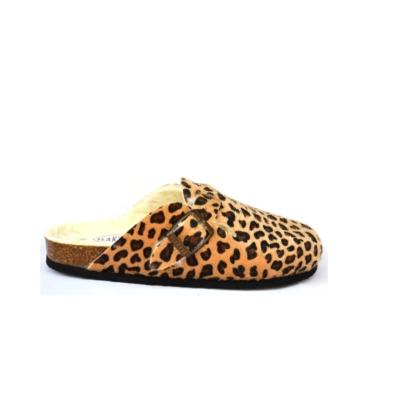 Blogg leopard Plakton 