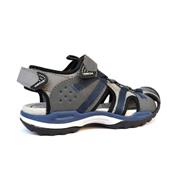 J920RB Borealis