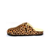 Blogg leopard Plakton 