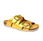 Bermudas oro
