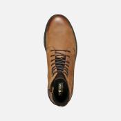 U36DGD U Ghiacciao D