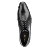 U0299B High Life Geox