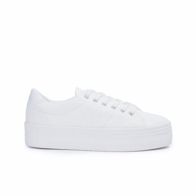 Plato M Sneaker