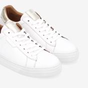 Spark Clay W or